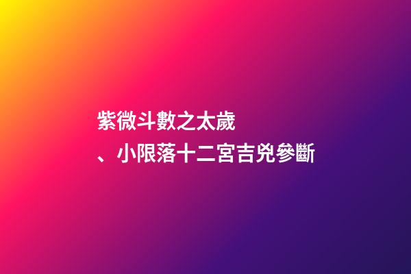 紫微斗數之太歲、小限落十二宮吉兇參斷